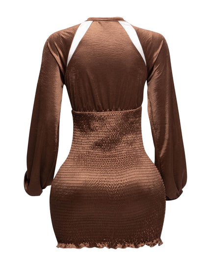 Back view of the Speed Racing Ruched Bodycon Dress in Brown